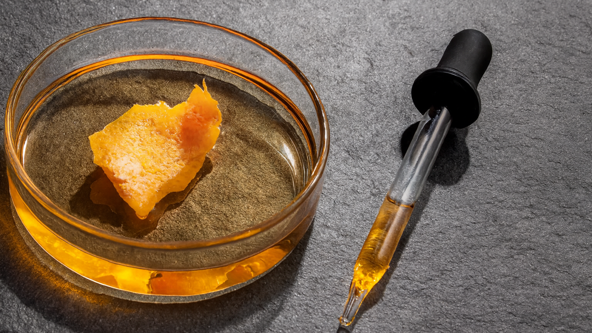 Fresh Formulaics presenta Extend EX1, una solución vegetal para prolongar la frescura de frutas en envíos de larga distancia.png